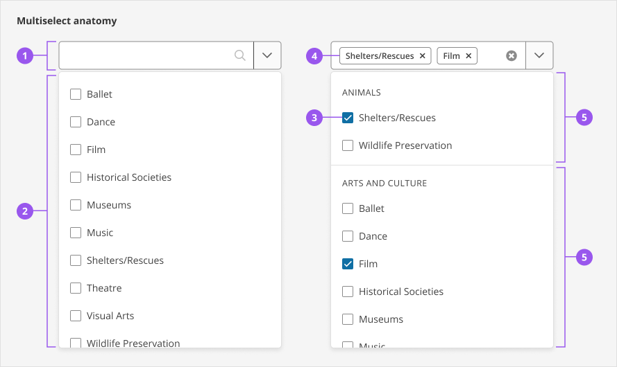 The anatomy of the multi-select component that shows the input field, the dropdown with a list of options, options with checkboxes (allowing multiple selections), selected option chips in the input field, and the dropdown with grouped options.