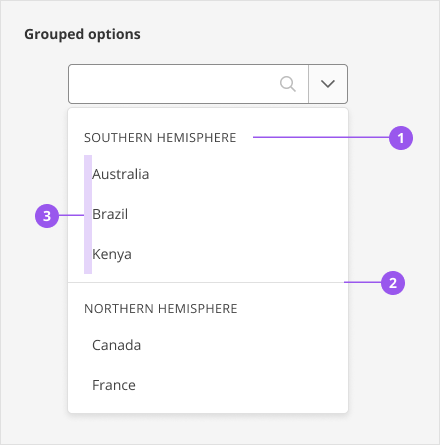 Options that belong in the same group are shown with a left indent underneath the group title. Group titles are styled different using SkyText Caps. Groups have horizontal dividers between groups.